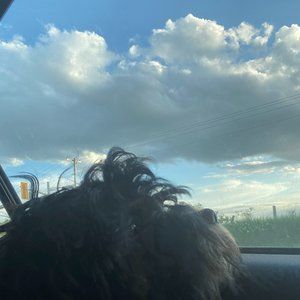 Meet your Posher, Liz